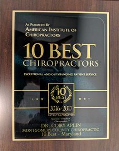 10 best chiropractors 2016 2017